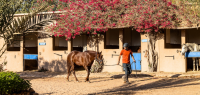 Ranch marocain