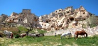 Jardin de la maison d'hôtes troglodyte