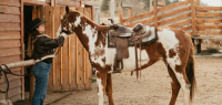 Ranch de travail au Wyoming - Caval&go