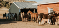 Ranch de travail au Wyoming - Caval&go