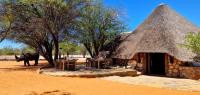 Lodge safari en Namibie - Caval&go
