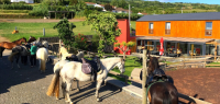 Lodge aux Açores - Caval&go
