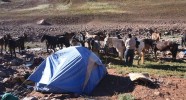 Bivouac gaucho des randonnées équestres en Argentine