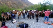 Bivouac gaucho des randonnées équestres en Argentine