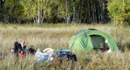 Campement bivouac en Mongolie