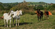 Bivouac en Toscane