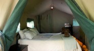 Camp de brousse au Botswana