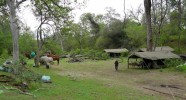 Camp de brousse au Botswana