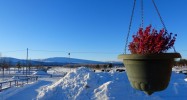 Ferme équestre en laponie suédoise