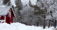 Ferme équestre en laponie suédoise