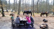 Randonnée équestre dans le grand massif de la forêt de Fontainebleau - Repas