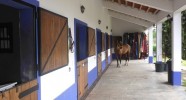 Quinta portugaise caval&go