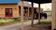 Ranch en Arizona - randonnée équestre et élevage de Longhorn - Caval&go