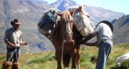 randonnée équestre au Chili en bivouac