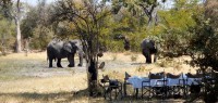 Campement mobile Delta de l'Okavango au Botswana
