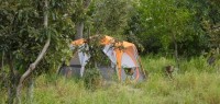 Campement mobile Delta de l'Okavango au Botswana