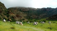 Camp de tipis en Mongolie