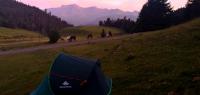Camping et Bivouac dans les Pyrénées - Caval&go