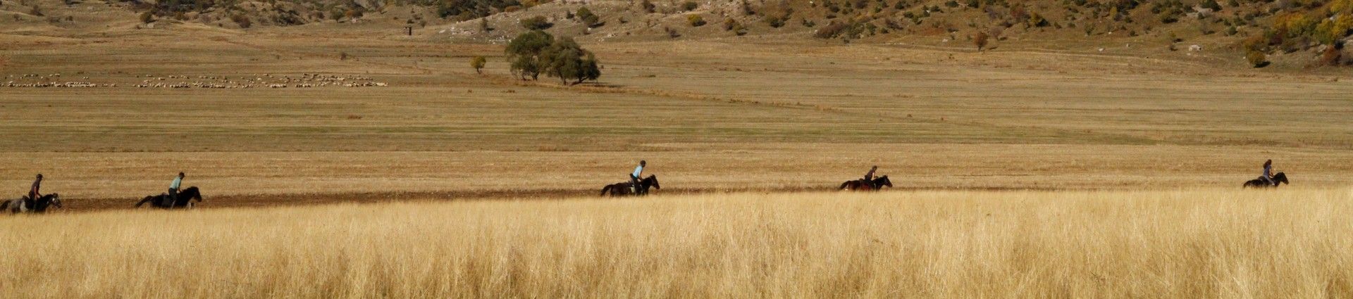 Voyagez en Albanie