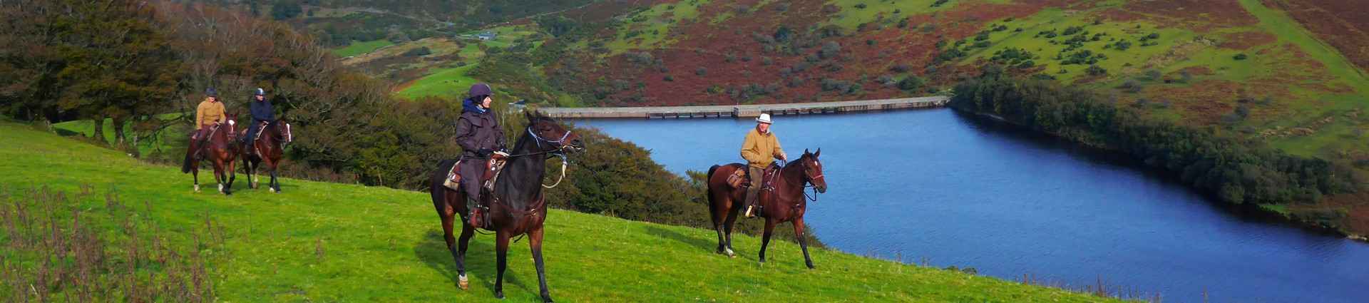 Voyages et randonnées à cheval en Angleterre 