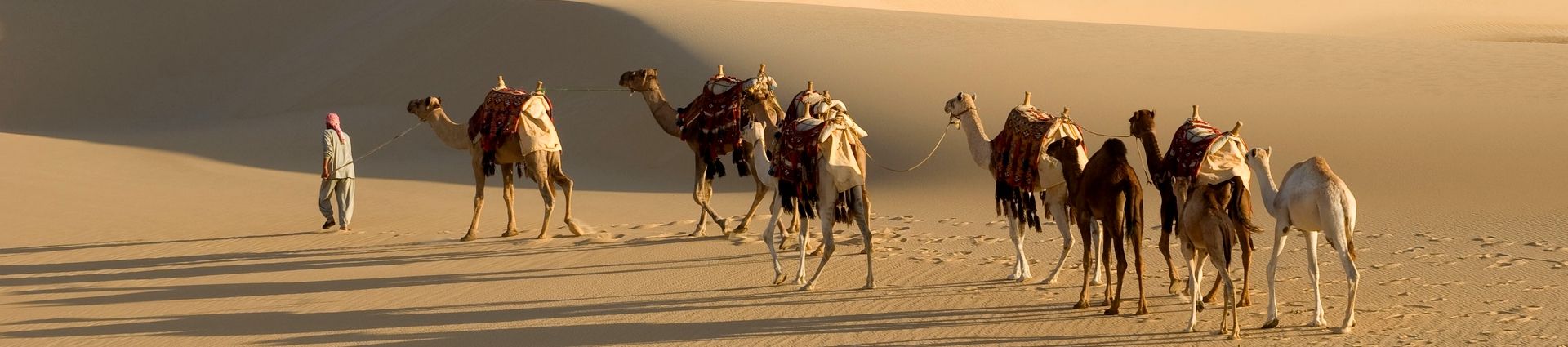 Voyagez en Egypte