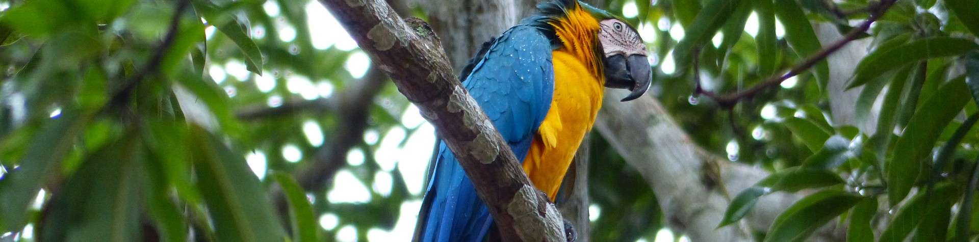 Voyagez au Costa Rica