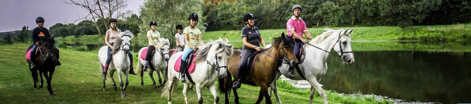 Randonnée à cheval dans les pays de la Loire