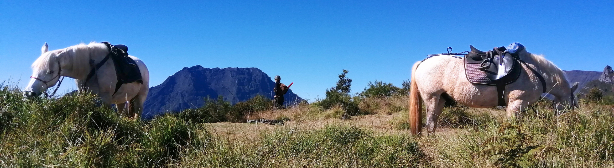 Nos voyages équestre à La Réunion