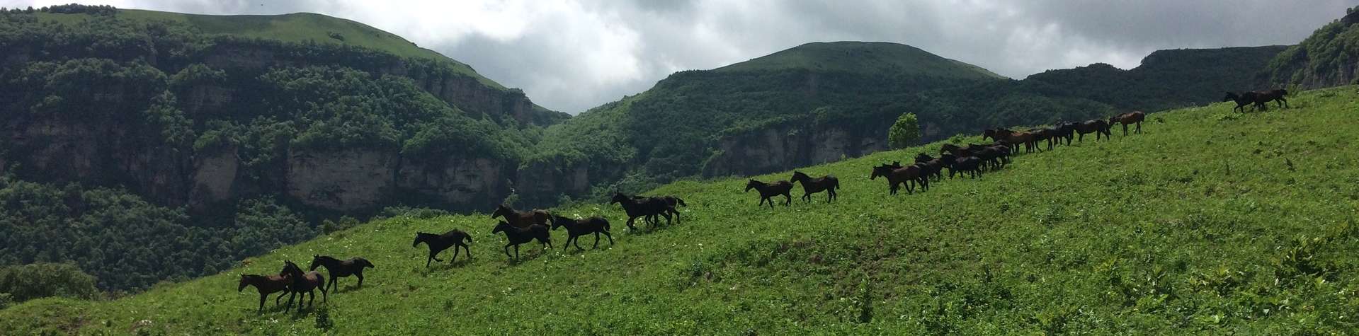 Voyages et randonnées à cheval en Géorgie 