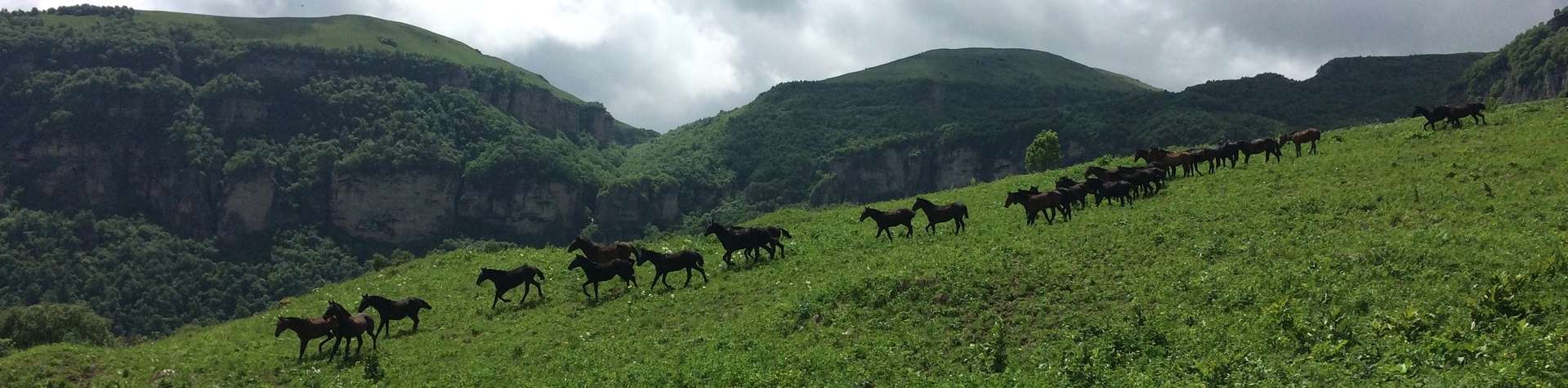 Voyages et randonnées à cheval en Géorgie