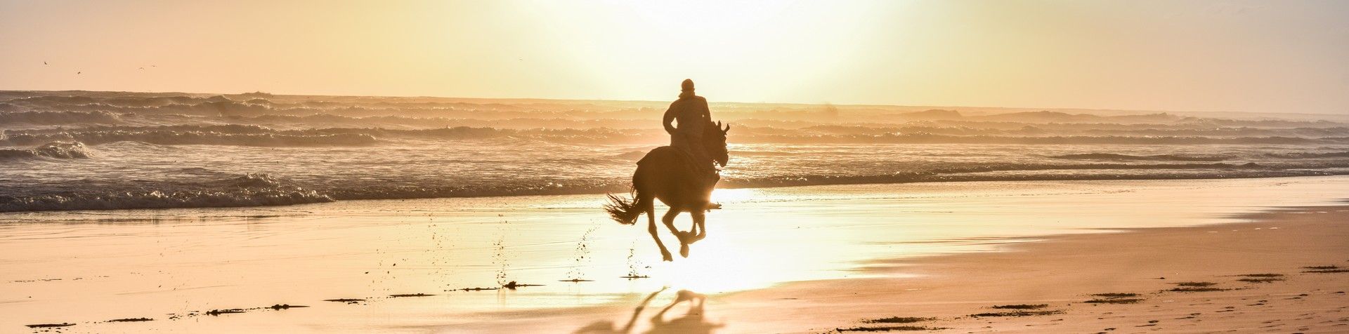 Galops sur les plages et baignades à cheval