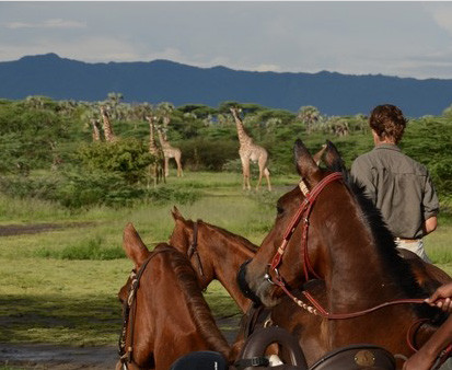 Safari à cheval