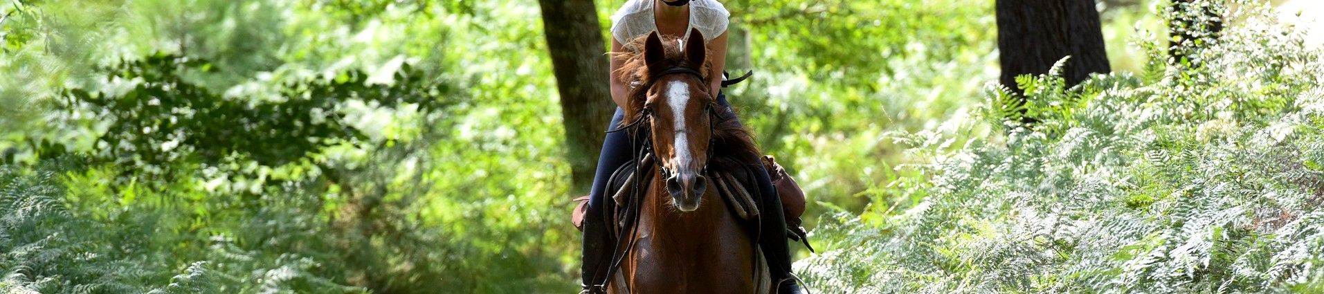 Randonnées équestres en Aquitaine