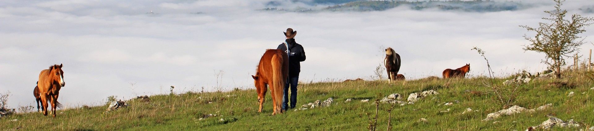 Voyages et randonnée à cheval en Slovénie