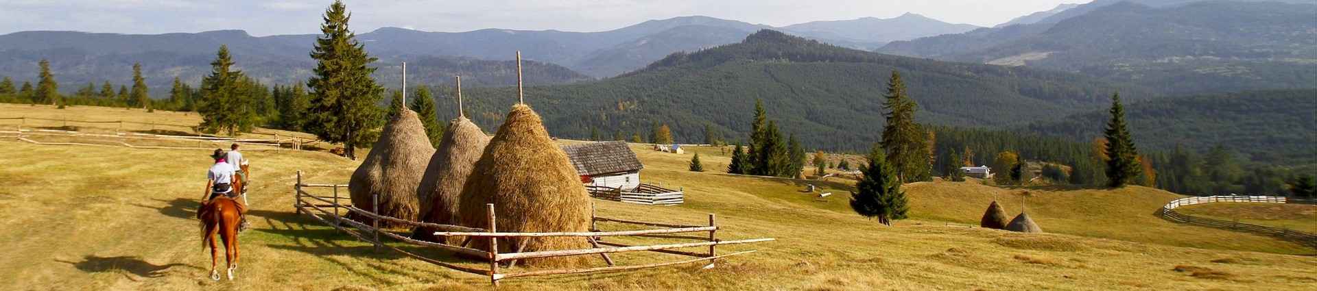 Voyages et randonnées à cheval en Roumanie 