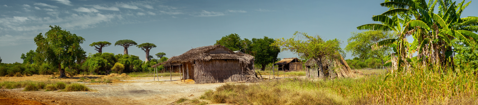Nos randonnées équestres à Madagascar