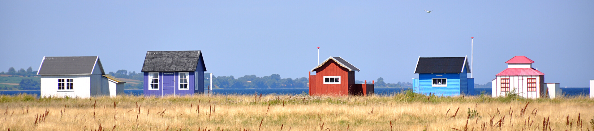 Voyages et Randonnées à cheval au Danemark