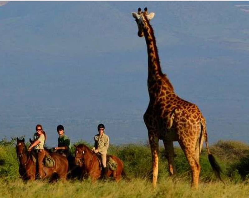 Voyages, randonnées et safaris à cheval en Tanzanie