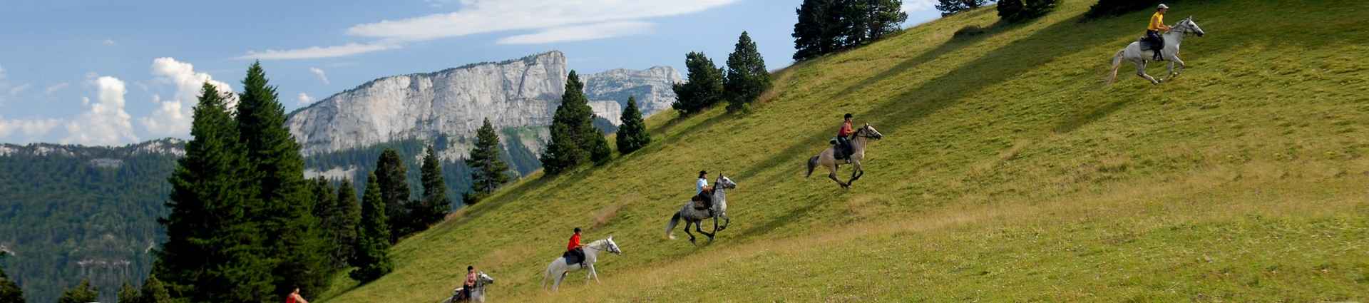 Rando à cheval dans les Alpes