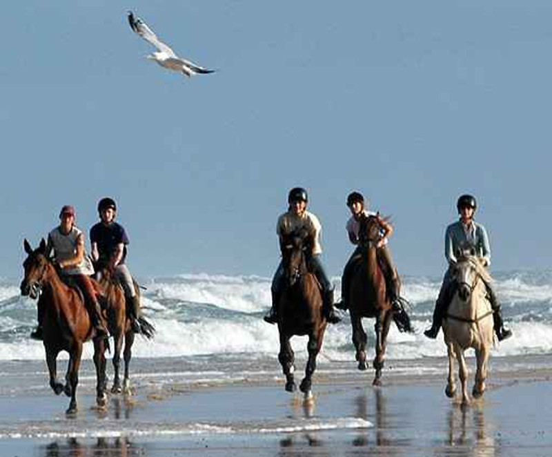 Randonnées équestres sur les plages du Sud-ouest