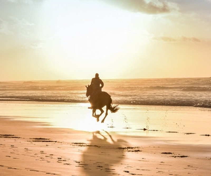 Voyages et randonnées à cheval au Maroc
