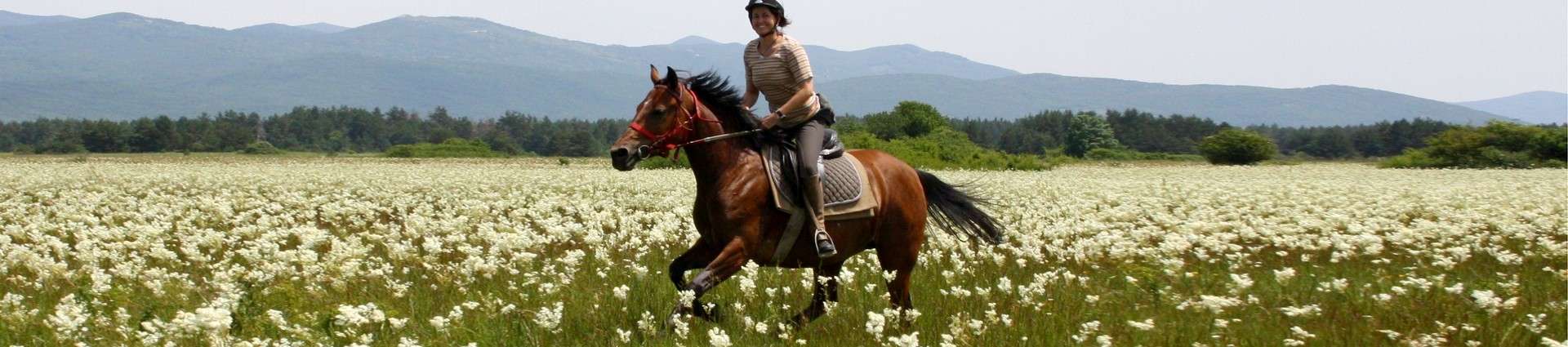 Voyages et randonnées à cheval en Croatie 