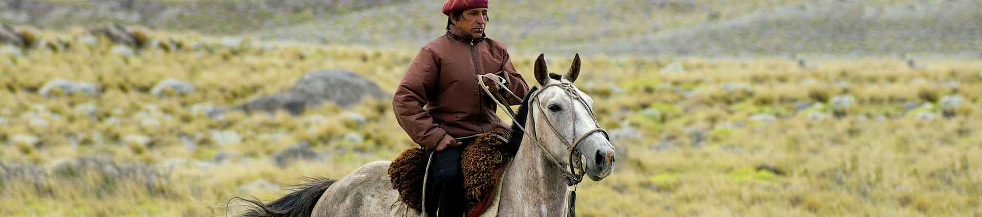 Guide de l'équitation