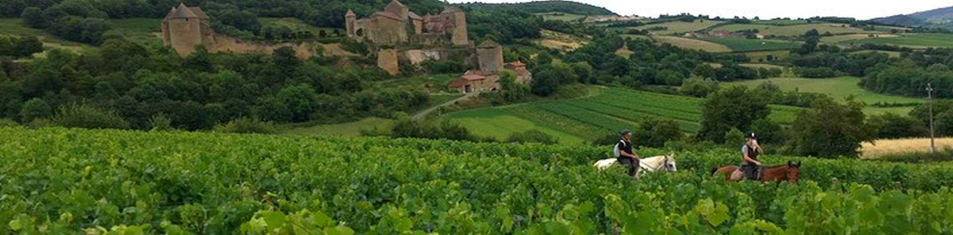 Randonnées équestres en Bourgogne