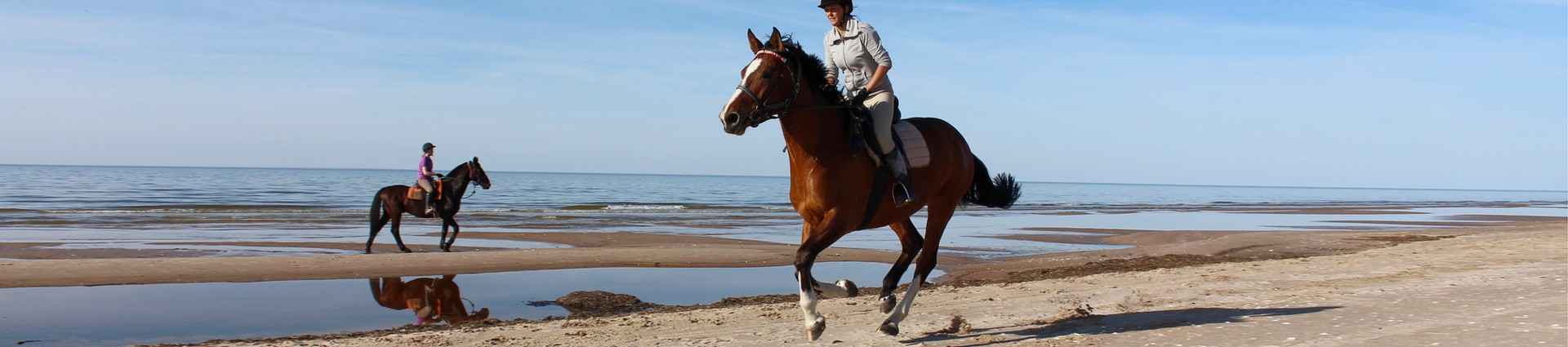 Voyages et randonnées à cheval aux Pays-Baltes