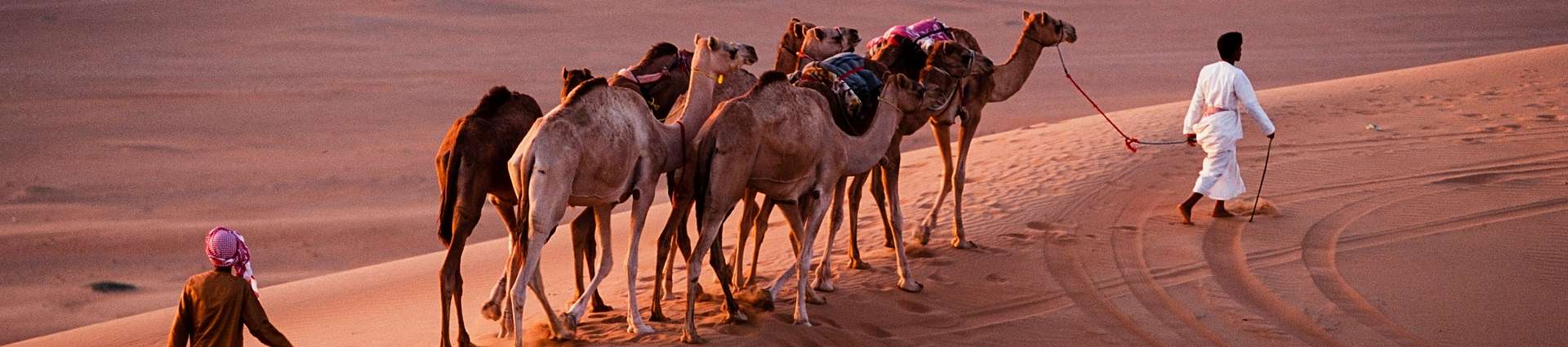 Voyages et randonnées à cheval en Oman 