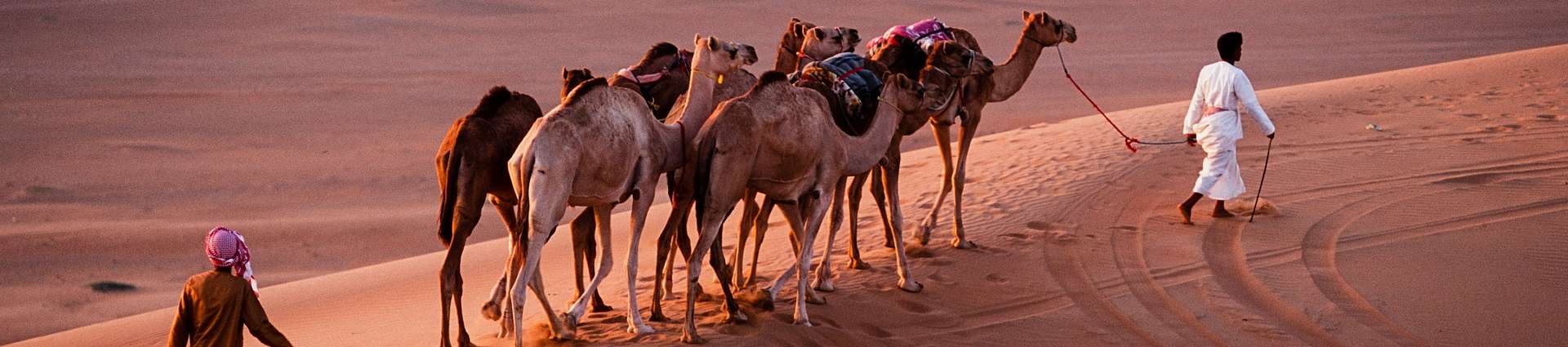 Voyages et randonnées à cheval en Oman