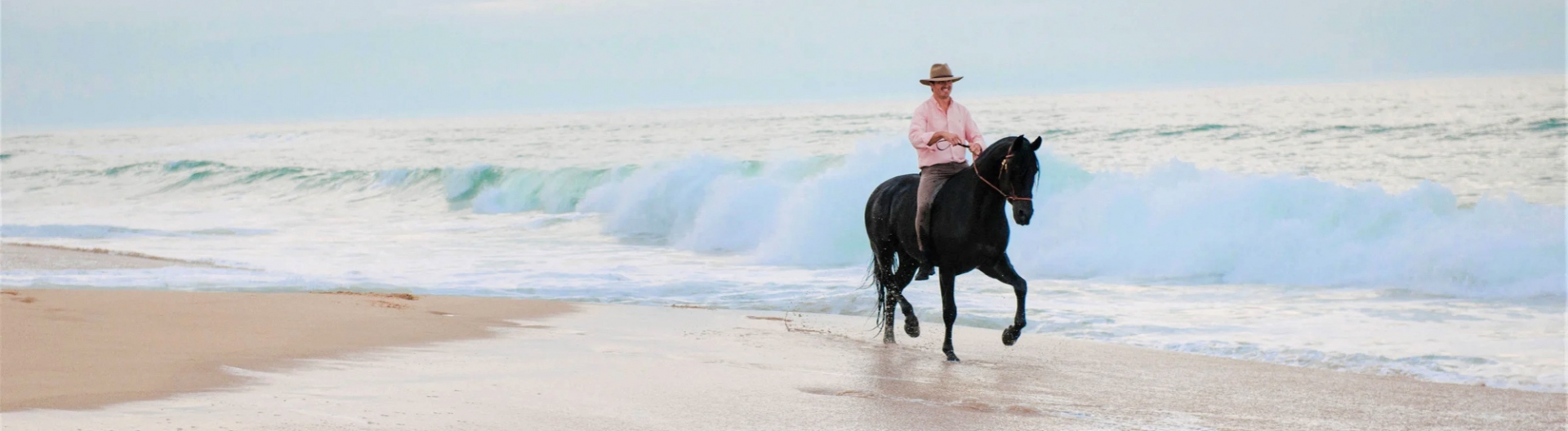 Voyage à cheval, séjour équestre