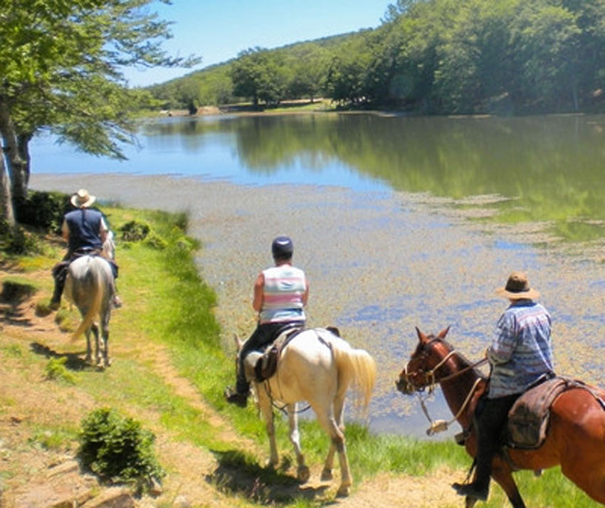 Voyages et randonnées à cheval en Italie 