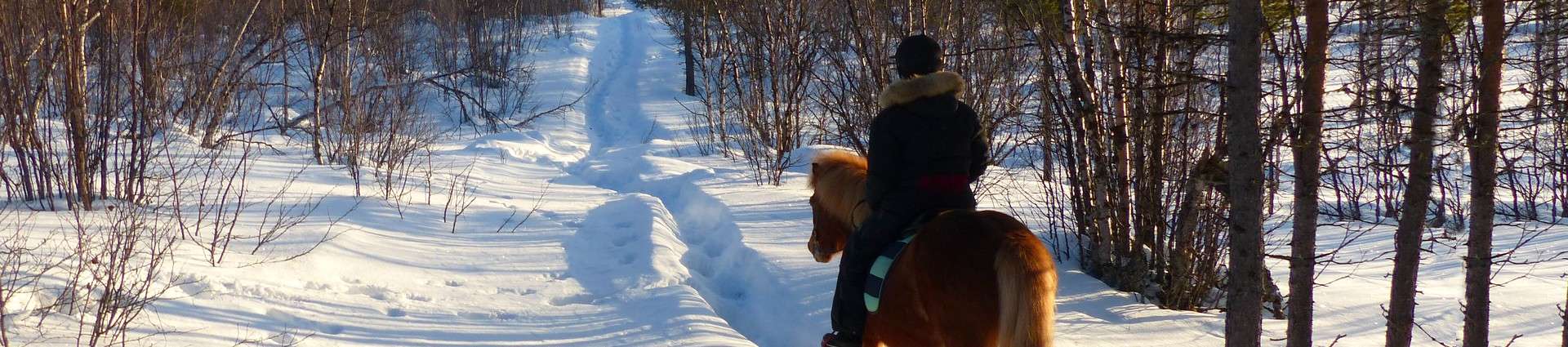 Voyages et randonnées à cheval en Suède 